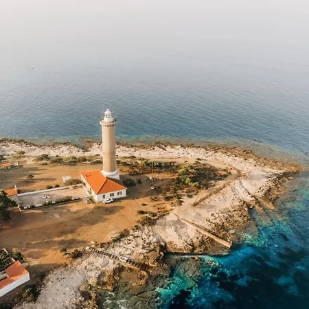 Lighthouse ベリ・ラット